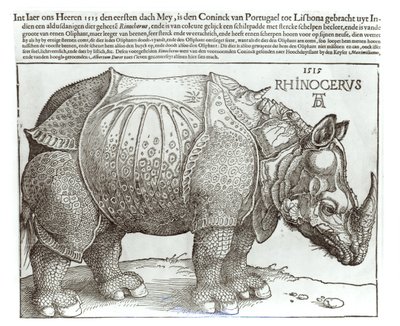 Rhinoceros, print given to Maximilian I by the King of Lisbon by Albrecht Dürer